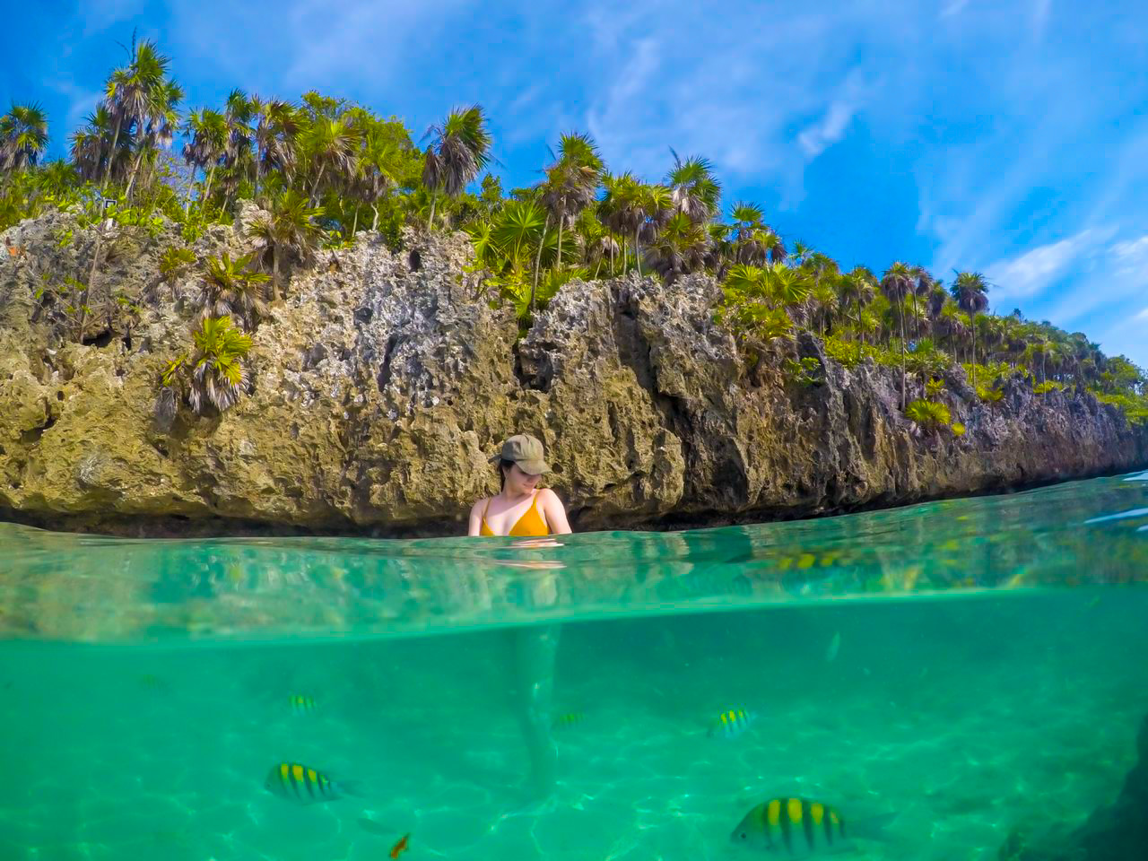 57df98f7-1f30-4431-9d4f-24aad1d83db5