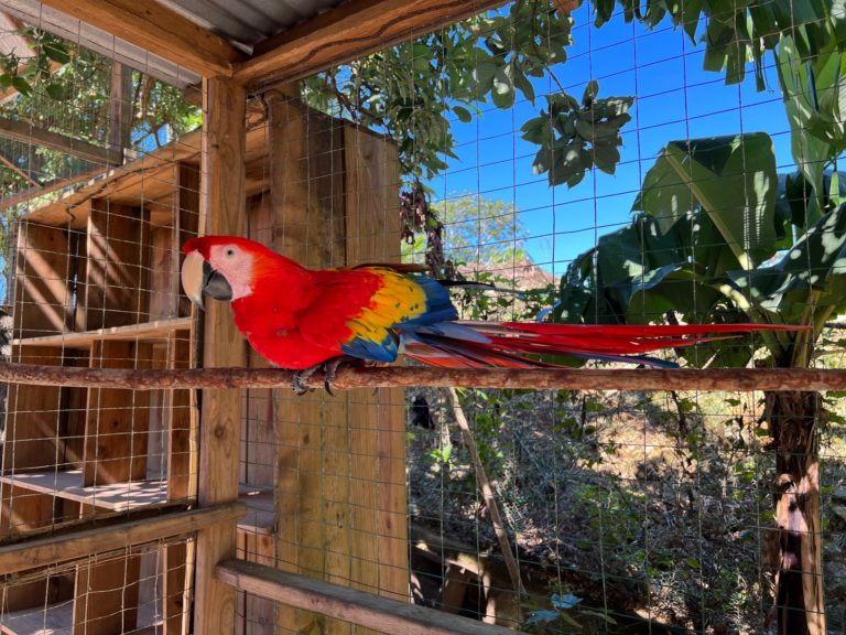 Blog thumbnail image